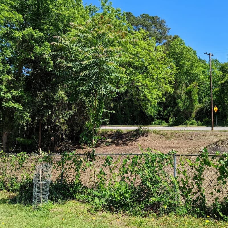 Dixie Forestry and Grading Co - Photo 3