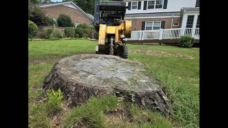 Lytle's Stump Grinding - Photo 1