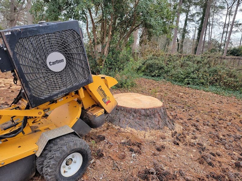 Lytle's Stump Grinding - Photo 3