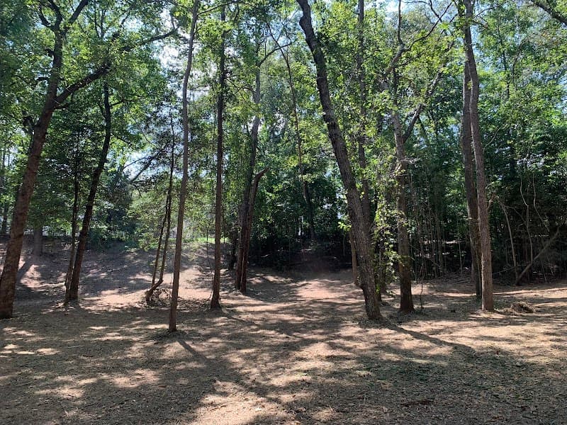 Peterson Land Services - Photo 2