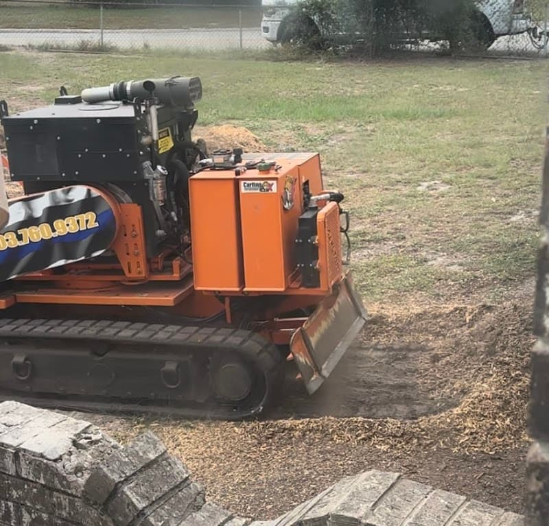 Stump Pros Stump Grinding Columbia SC - Photo 1