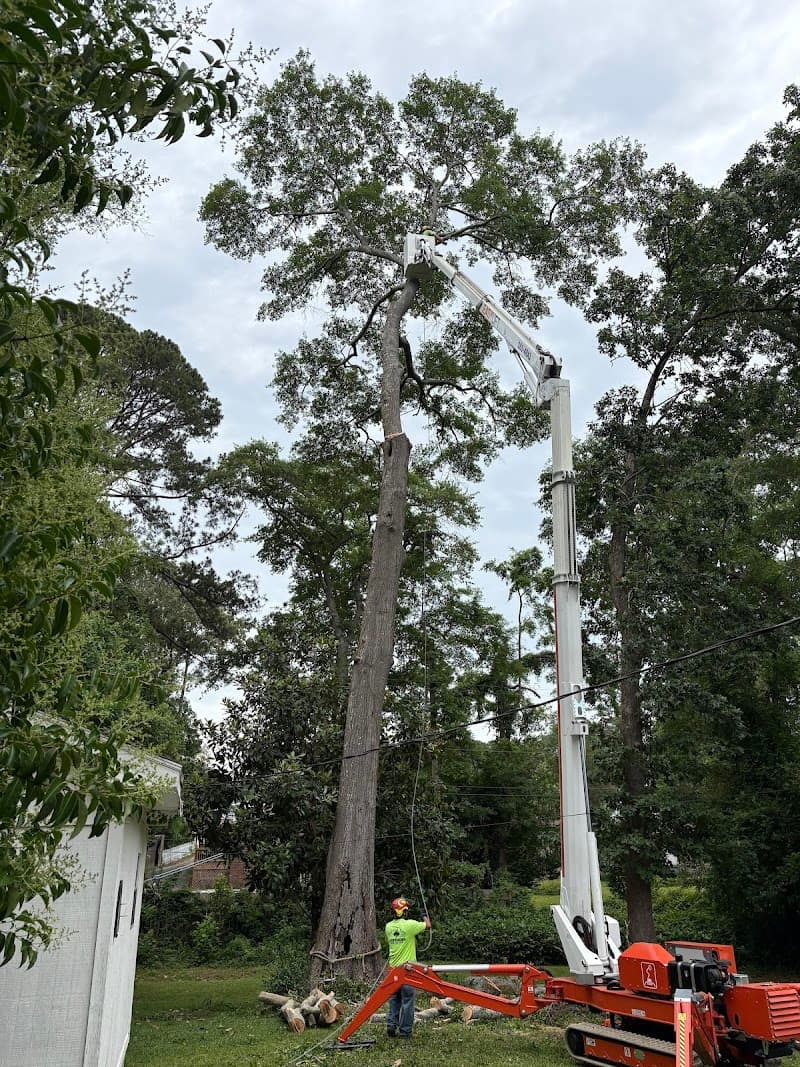 Top Cut Tree Service Columbia SC - Photo 2