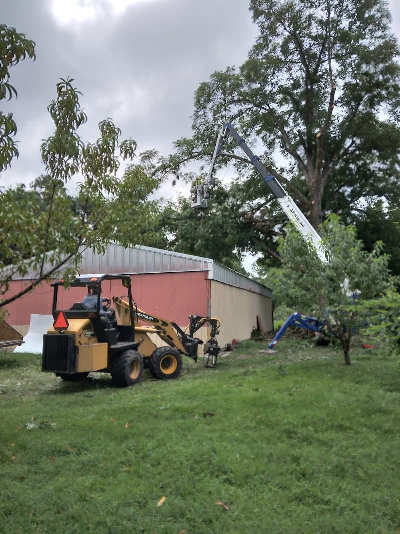 Top Cut Tree Service Columbia SC - Photo 3