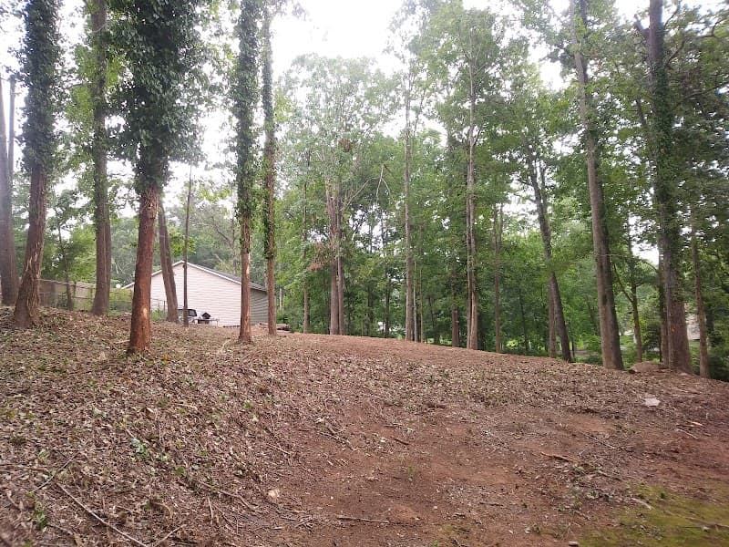 Upstate Brush Control - Photo 2